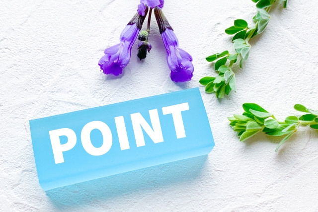 まとめ用ポイント画像